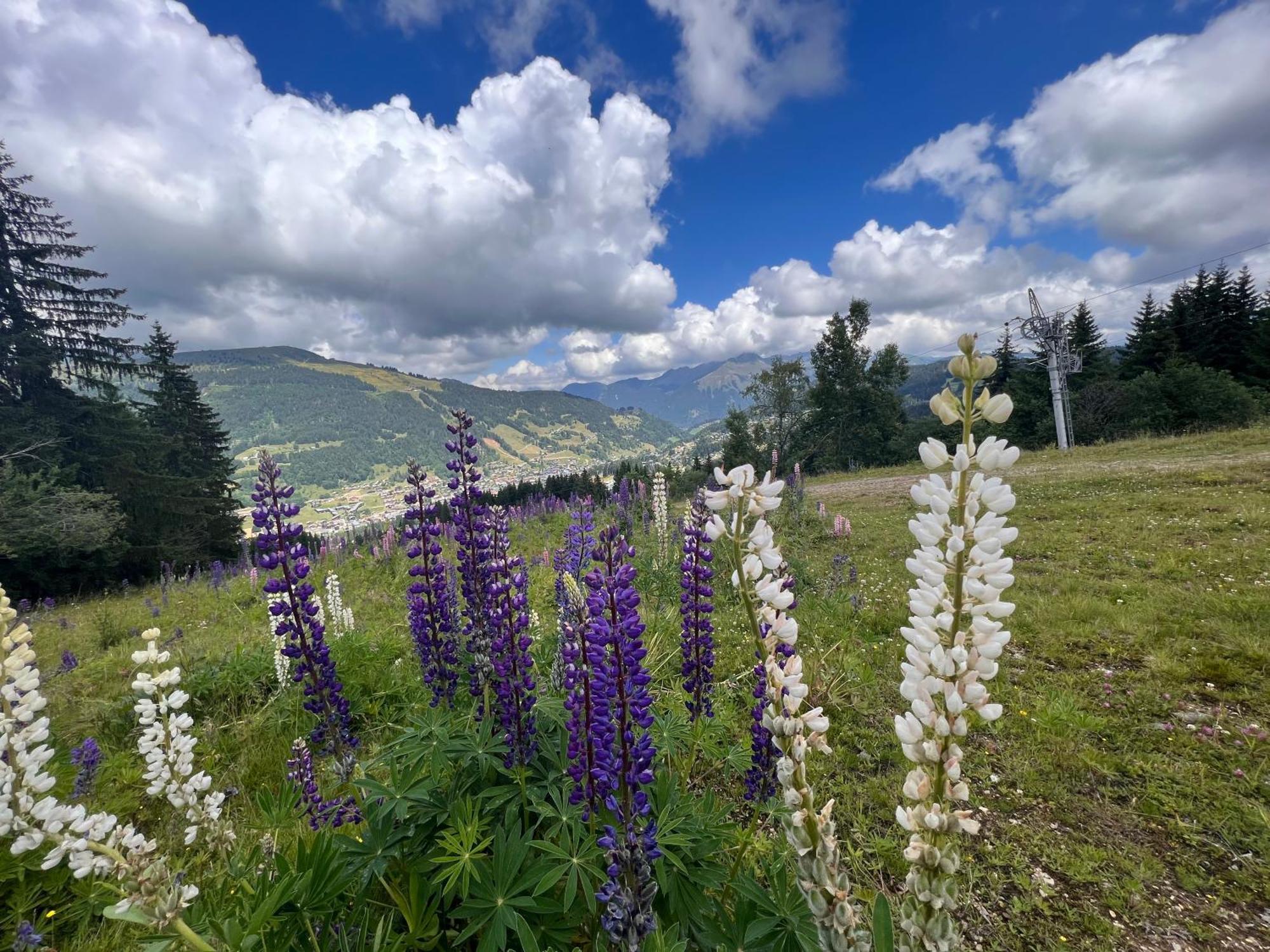 Chalet Aventure B&B Ле-Гет Екстериор снимка
